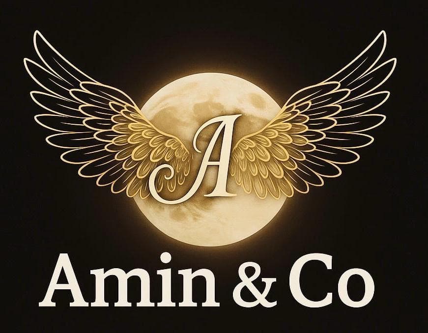 Amin & Co Ventures LTD logo