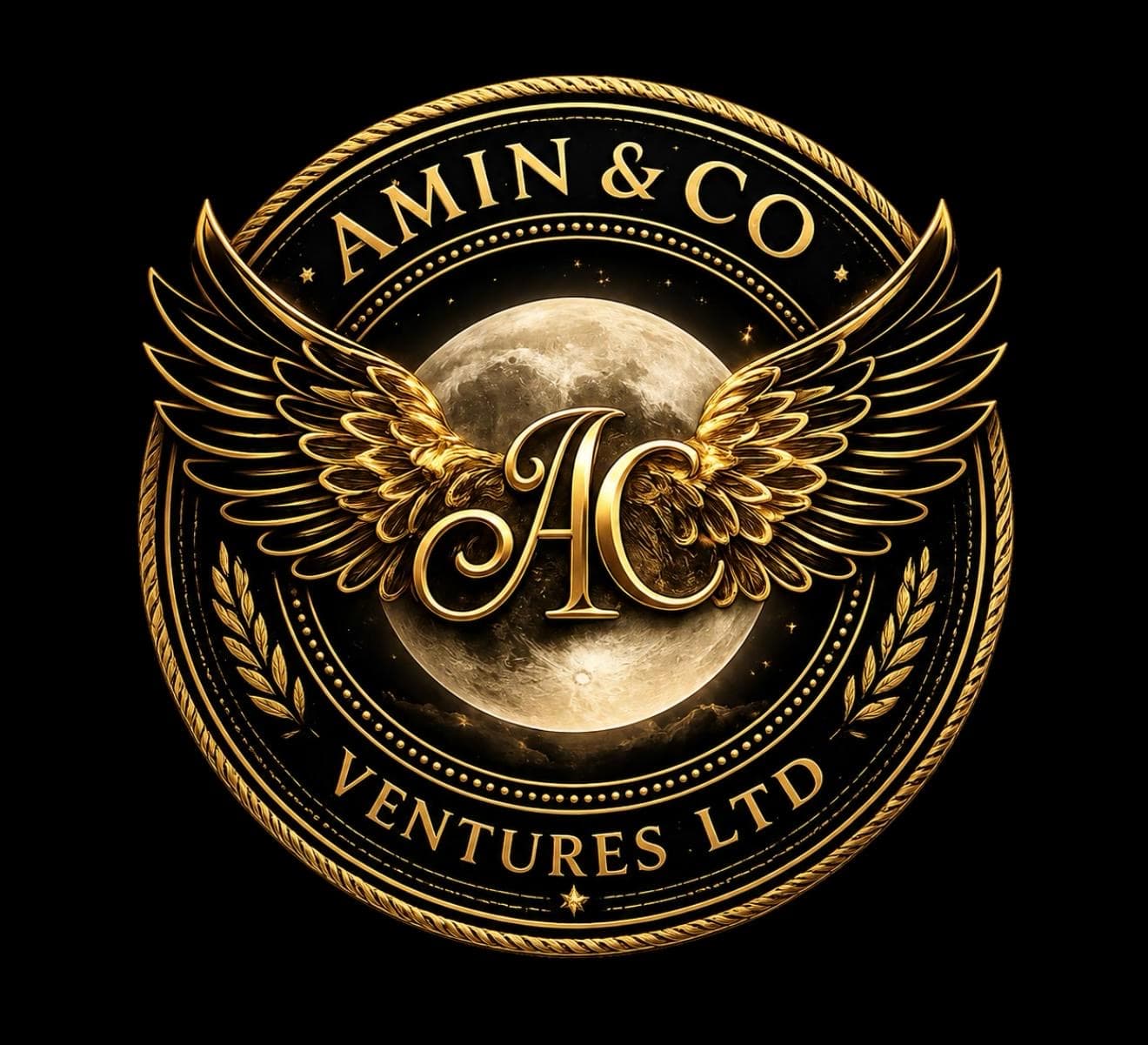 Amin & Co Ventures LTD logo